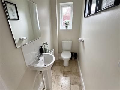 Picture 7